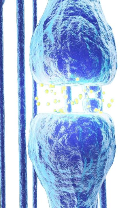 Aceleración de la regeneración y reparación de tejidos